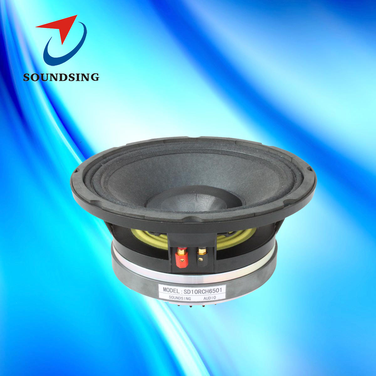 SD10RCH6501 10inch coaxial loudspeakers