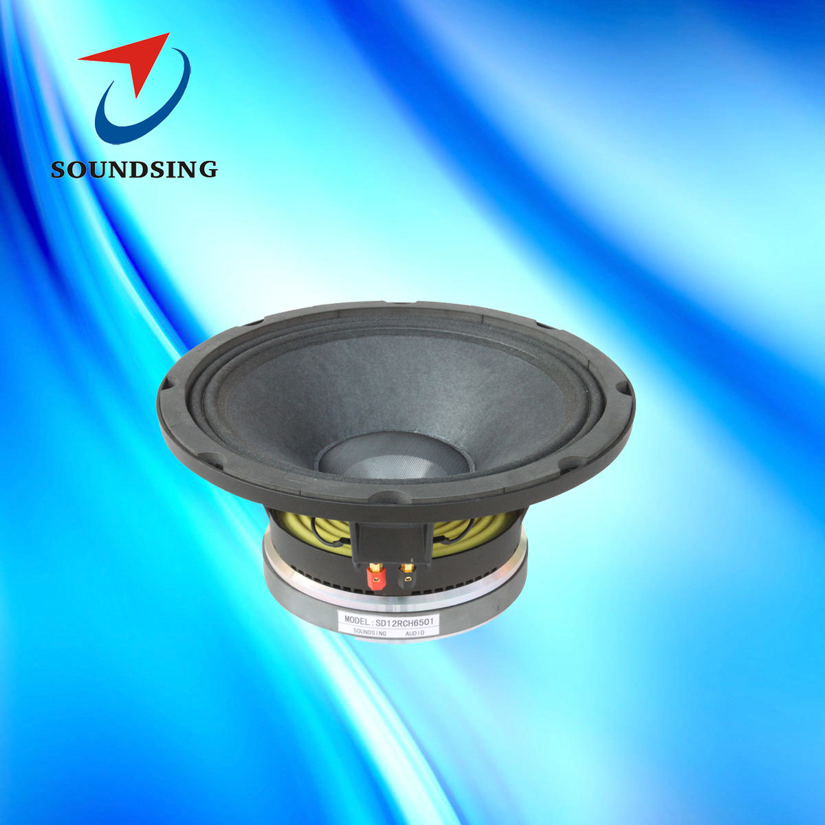 SD12RCH6501 good quality 12"coaxial full range speakers