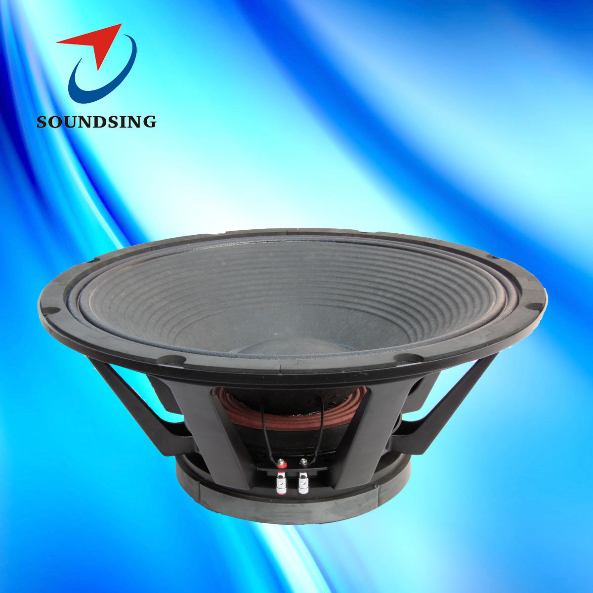 SD-21002A 21"subwoofer speakers