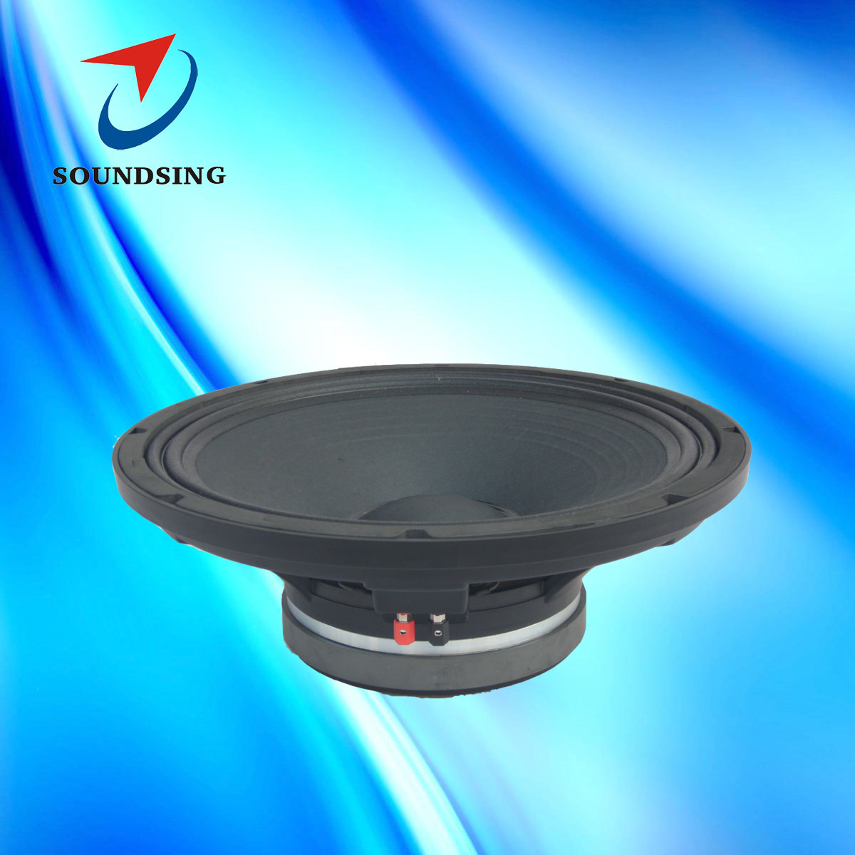 15inch RC pro audio speaker SD15P540A