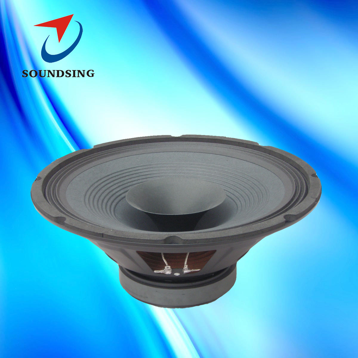 SD-120037A 12 inch full ragne speaker