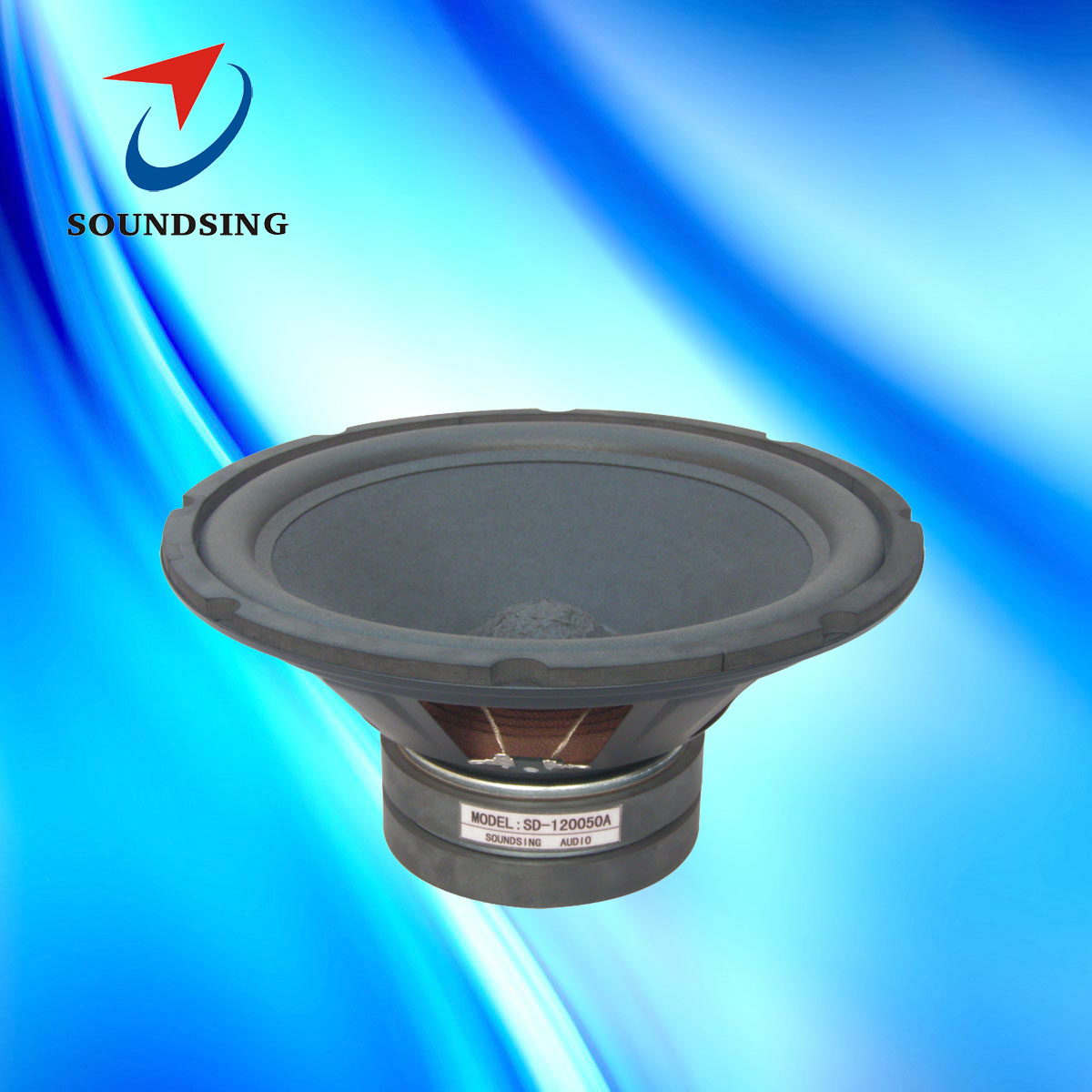 SD-120050A 12inch foam edge karaoke speaker