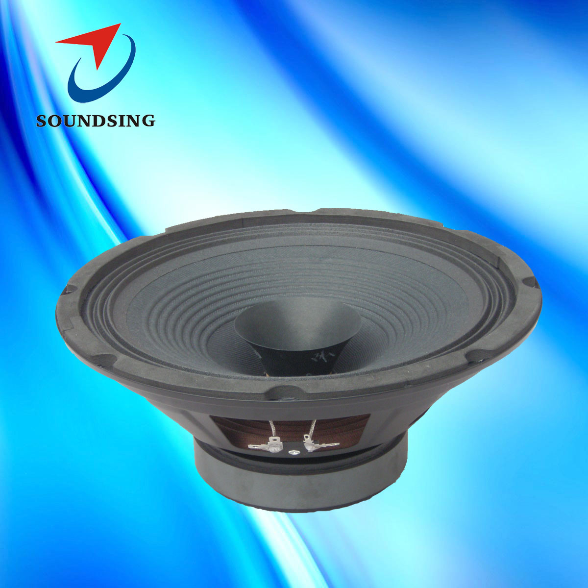 SD-100032A 10inch dual cone full range speaker