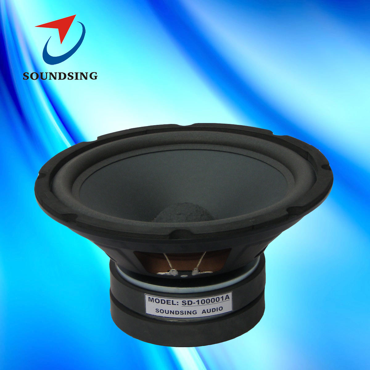 SD-100001A  10inch powered speakers 2