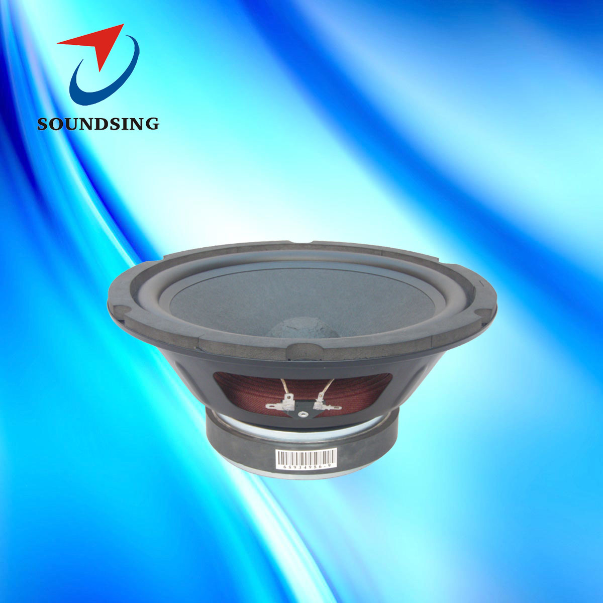SD-100051-1 high power karaoke speakers
