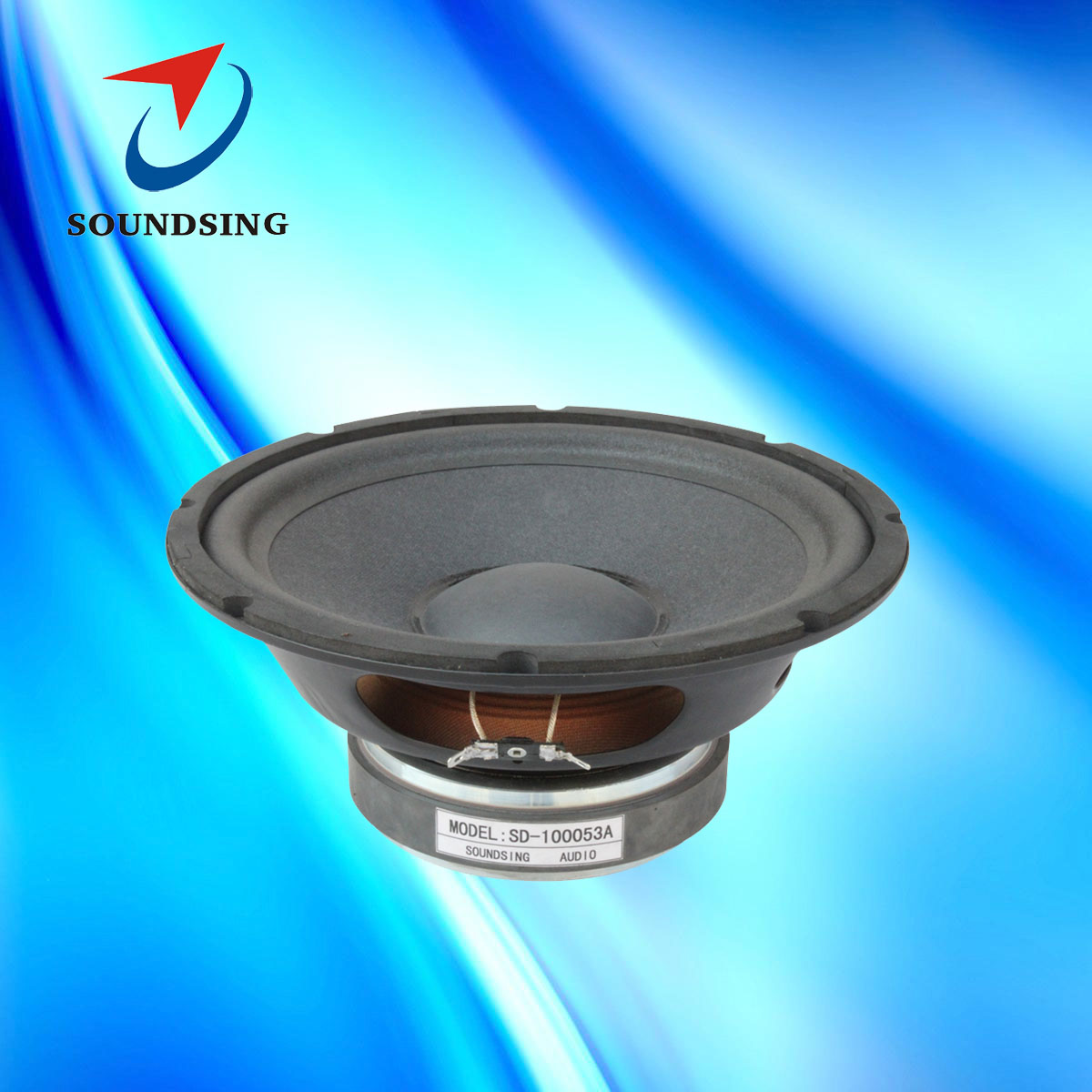 SD-100053A high power 10inch speakers