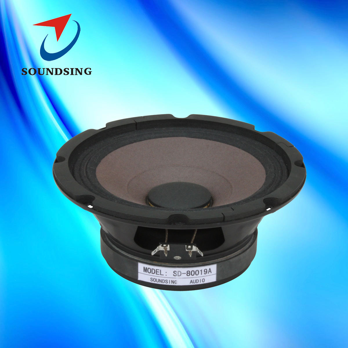 SD-80019A 8"monitor speakers