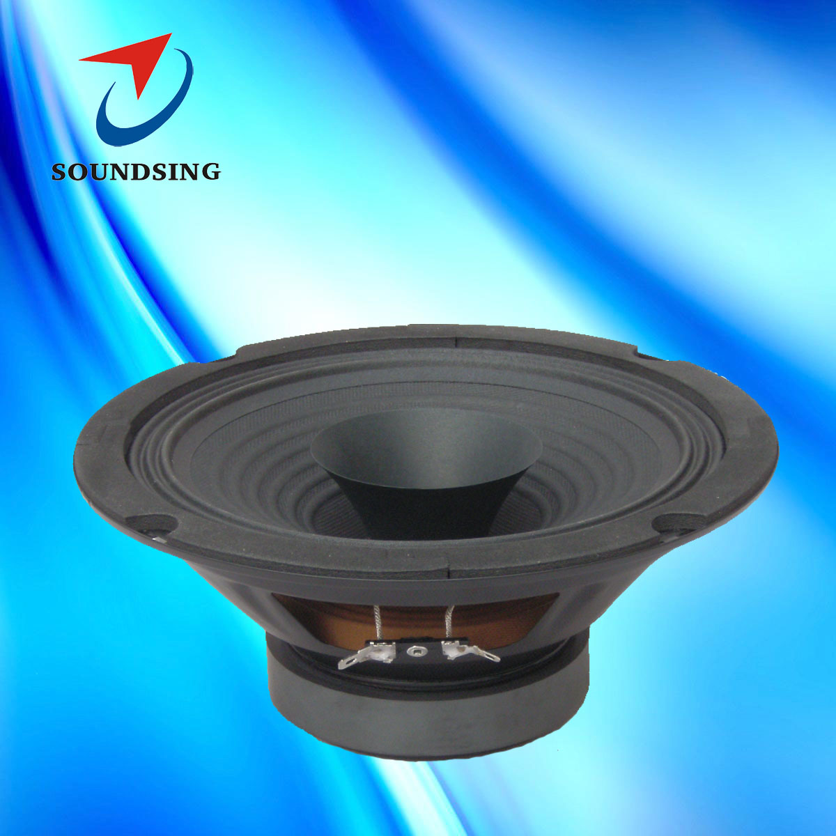 SD-80016 8" dual cone full range speakers