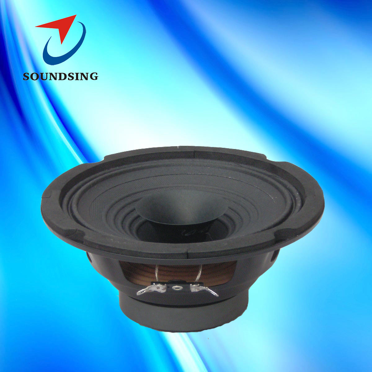 SD-60012A 6.5"full range speakers with dual cones