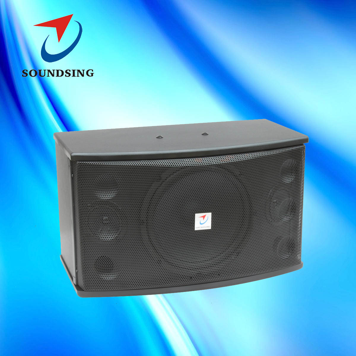 SD-D-10 10" karaoke sound box