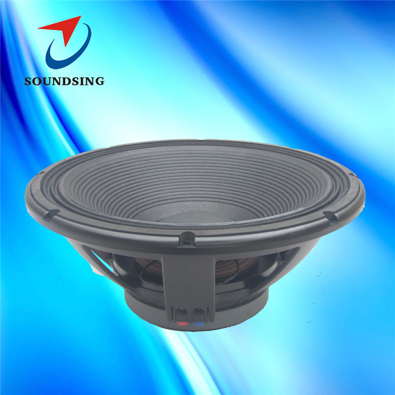 NG18 18" pro speaker