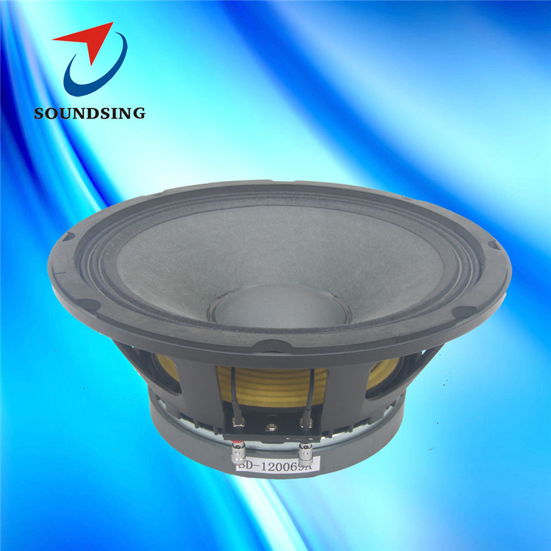 SD-120069A 12"music speaker