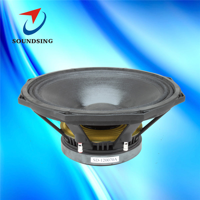 SD-120070A 12"Mid bass speakers