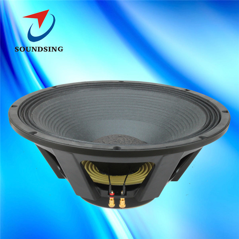 SD-21006A good price 21"speakers