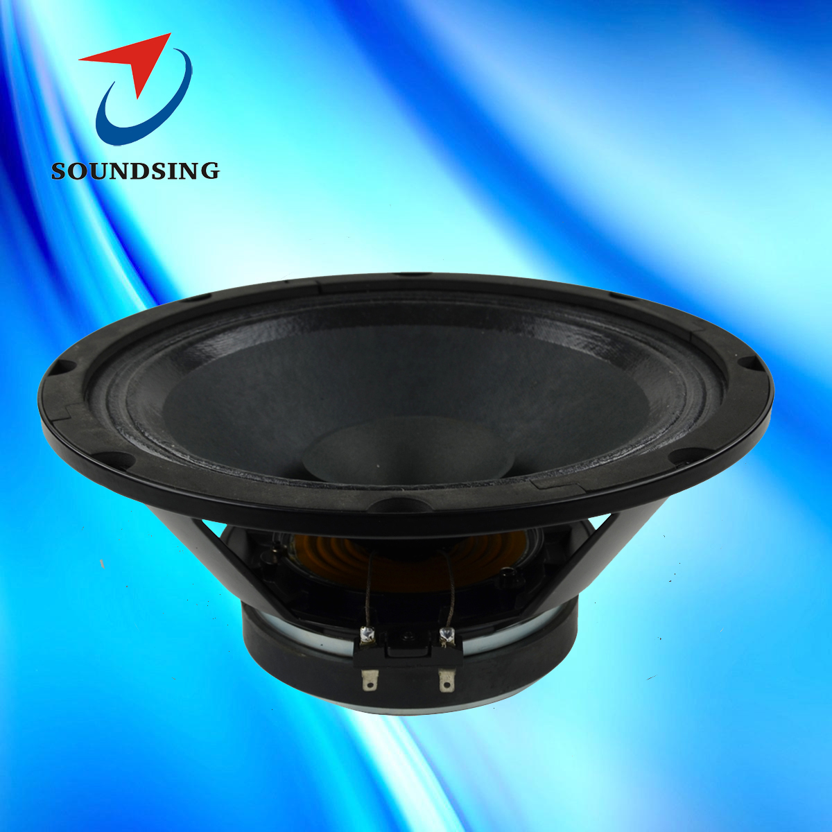 12 inch full range dual cone speakers SD-120083A