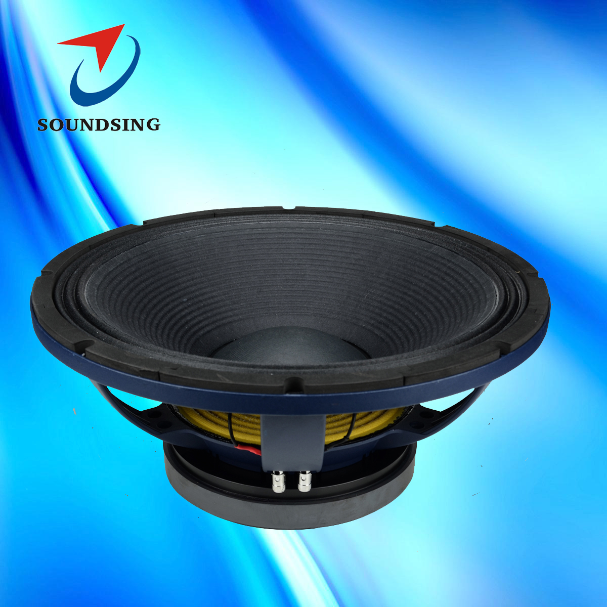 dj bass speaker 18 inch